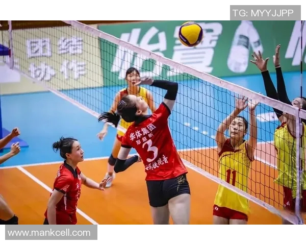 上海排球队的战术控制与球队表现深度分析 上海排球队的战术控制与球队表现深度分析