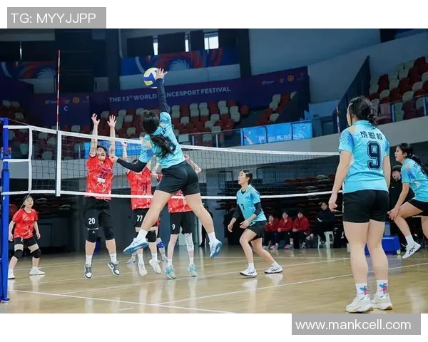 成都排球队配合问题引发热议球迷与专家观点交锋