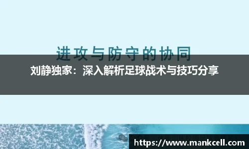 B体育官网