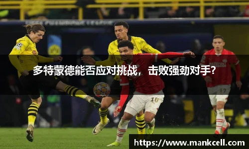 bsports官网入口