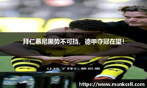 bsports官网入口