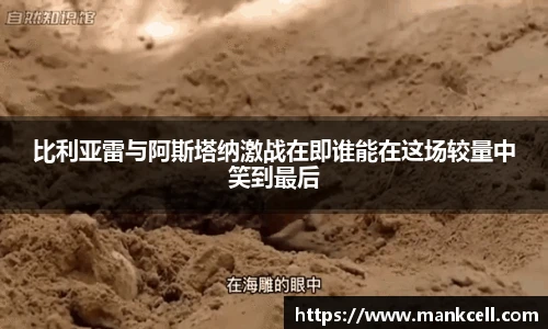 bsports官网入口