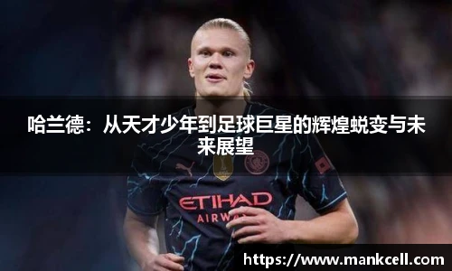 bsports官网入口