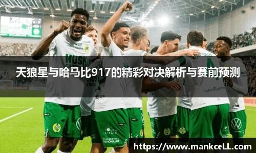 B体育bsports